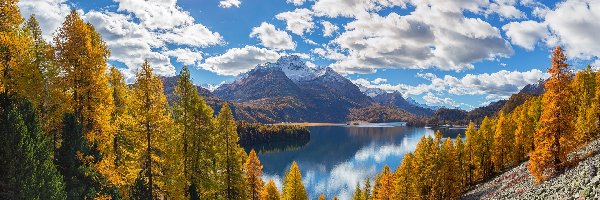 Drzewa, Dolina Engadyna, Chmury, Jesień, Szczyt Piz da la Margna, Szwajcaria, Kanton Gryzonia, Góry Alpy, Jezioro Silsersee, Promienie słońca
