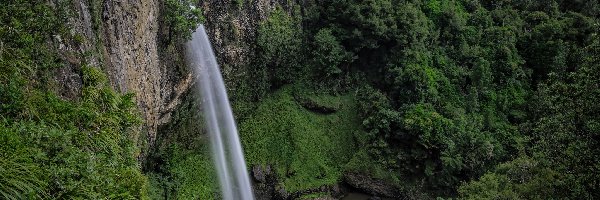 Wyspa Północna, Skała, Region Waikato, Nowa Zelandia, Las, Wodospad Bridal Veil Falls