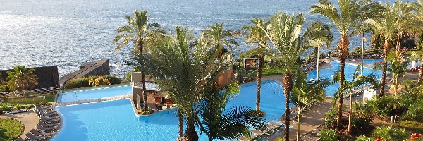 Palmy, Basen, Madera, Miejscowość Funchal, Hotel Pestana Promenade, Wakacje, Ocean Atlantycki, Portugalia, Morze