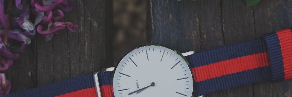 Zegarek, Deski, Pasek, Liście, Kwiaty