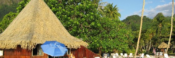 Palmy, Chata, Plaża