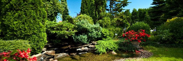 Park, Drzewa, Strumień, Kamienie, Kwiaty