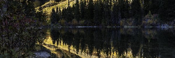 Odbicie, Kolorado, Stany Zjednoczone, Hrabstwo San Juan, Góra Whitehouse Mountain, Drzewa, Jezioro