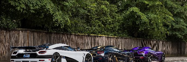 Drzewa, Płot, Koenigsegg Agera R