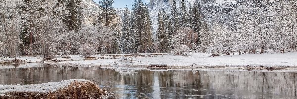 Stany Zjednoczone, Park Narodowy Yosemite, Drzewa, Ośnieżone, Stan Kalifornia, Rzeka Merced River, Góry, Zima