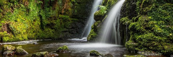Las, Park Narodowy Dartmoor, Wodospad, Kamienie, Hrabstwo Devon, Anglia