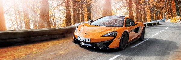 Pomarańczowy, Jesień, McLaren 570S, Drzewa, Droga