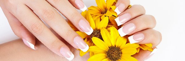 Chryzantemy, Manicure, Ręce, Żółte