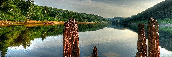 Kamienie, Lasy, Rzeka