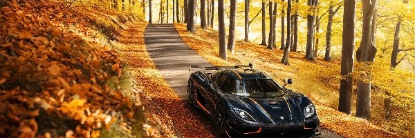 Koenigsegg, Drzewa, Droga, Agera, Las, Jesień