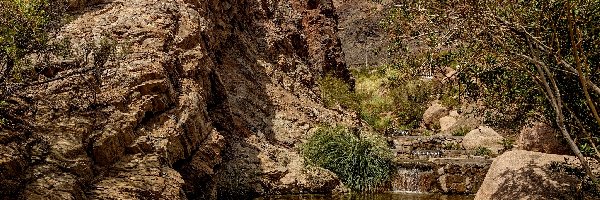 Termas de Fiambalá, Prowincja Catamarca, Rośliny, Skały, Tinogasta, Żródła termalne, Góry, Argentyna