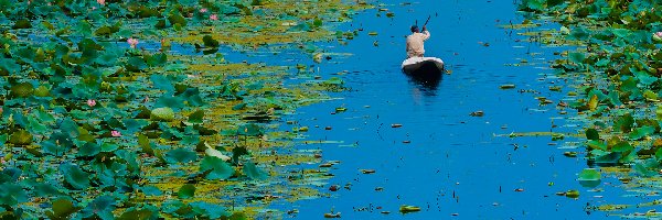 Jezioro Dal, Łódka, Lotos, Indie