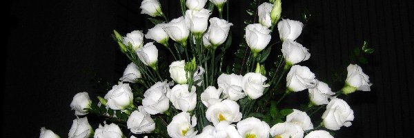 Eustoma, Kompozycja, Bukiet, Biała