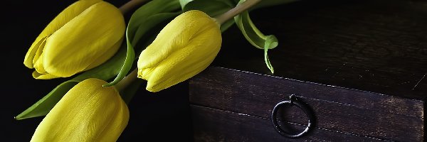 Tulipany, Kuferek, Drewniany, Żółte