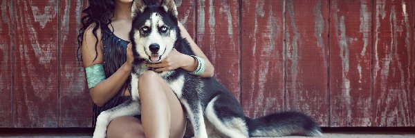 Siberian Husky, Kobieta