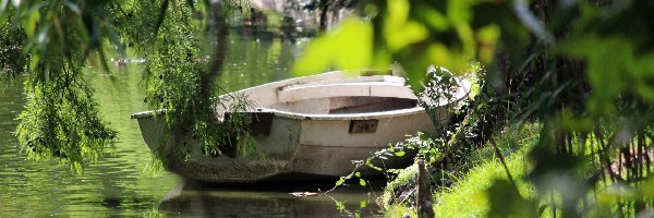 Łódź, Drzewa, Jezioro