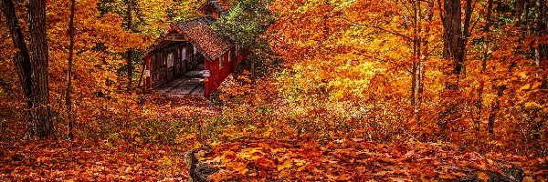 Las, Jesień, Wieś Lake Ann, Stan Michigan, Stany zjednoczone, Kamień, Liście, Most Joshuas Crossing Covered Bridge, Drzewa