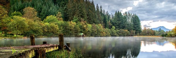 Las, Pomost, Mgła, Jezioro