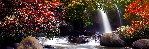 Skały, Wodospad Haew Suwat, Rzeka, Drzewa, Park Narodowy Khau Yai, Tajlandia