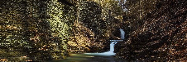 Drzewa, Havana Glen Park, Wodospad Montour, Stan Nowy Jork, Stany Zjednoczone, Kamienie, Skały