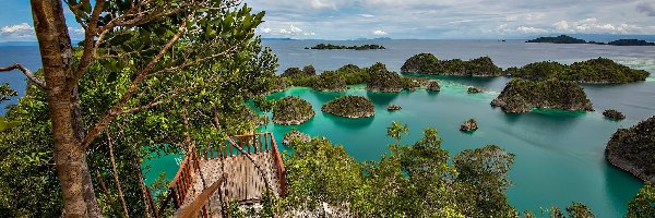 Pomost, Morze, Drzewa, Wysepki, Wysepki Fam Islands, Indonezja