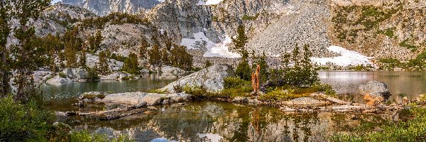 Drzewa, Rezerwat przyrody Wilderness John Muir, Góry Sierra Nevada, Kalifornia, Stany Zjednoczone, Kamienie, Jezioro