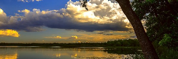 Lasy, Chmury, Jezioro