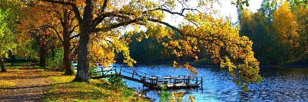 Łódka, Pomost, Rzeka, Jesień, Park
