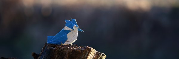 Pień, Ptaszek, Origami