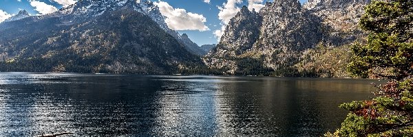 Góry, Park Narodowy Grand Teton, Jezioro Jenny Lake, Drzewa, Stan Wyoming, Stany Zjednoczone