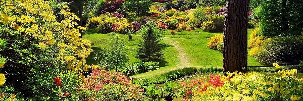Park, Wiosna