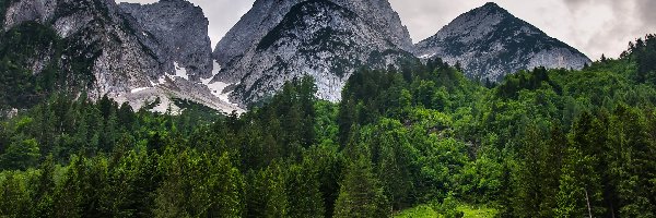 Drewniany, Góry Dachstein, Las, Dom, Miejscowość Gosau, Austria