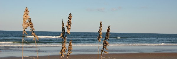 Plaża, Morze