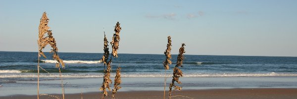 Plaża, Morze