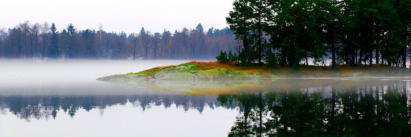 Odbicie, Jezioro, Las