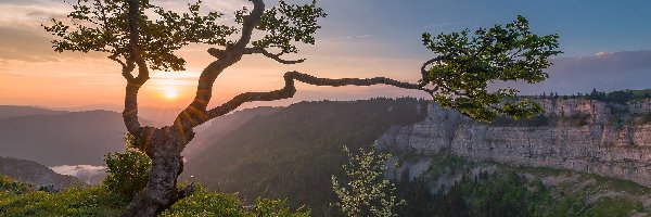 Kanton Neuchatel, Atrakcja Creux du Van, Chmury, Wschód słońca, Dolina Val de Travers, Szwajcaria, Drzewo, Skały