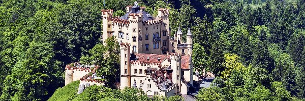 Niemcy, Jezioro, Las, Zamek Hohenschwangau