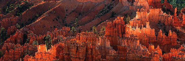 Kanion, Park Narodowy Bryce Canyon, Skały, Las, Stan Utah, Stany Zjednoczone