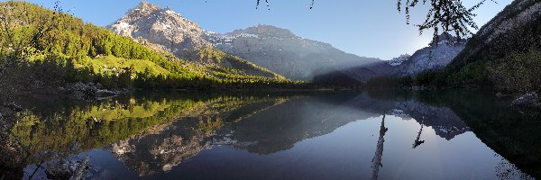 Góry Alpy Berneńskie, Drzewa, Jezioro Derborence, Szwajcaria