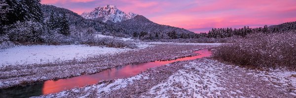 Drzewa, Rezerwat przyrody Zelenci Springs, Wschód słońca, Kranjska Góra, Słowenia, Rzeka, Zima