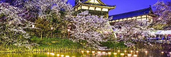Japonia, Kwitnące, Drzewa, Domy, Japońskie, Wiosna, Rzeka