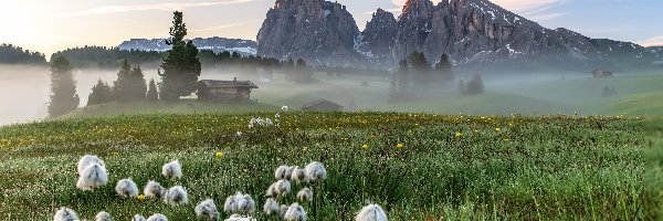 Dolina Val Gardena, Płaskowyż Seiser Alm, Domy, Kwiaty, Łąka, Włochy, Dolomity, Mgła, Góry Sassolungo