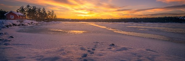 Zachód słońca, Zima, Drzewa, Ringerike, Norwegia, Jezioro, Dom