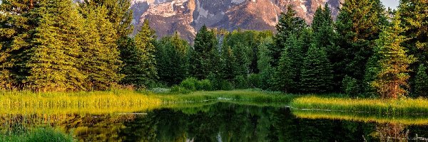 Odbicie, Park Narodowy Grand Teton, Rzeka Snake River, Stan Wyoming, Stany Zjednoczone, Góry, Las