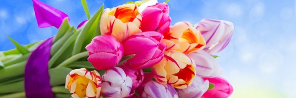 Tulipanów, Kolorowych, Bukiet