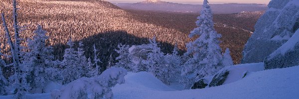 Obwód czelabiński, Drzewa, Park Narodowy Taganaj, Rosja, Góry, Zima