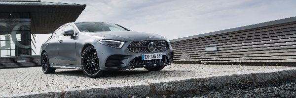 AMG, Mercedes-Benz CLS 450