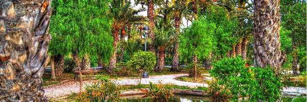 Park