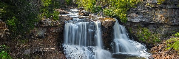 Drzewa, Rzeka, Stany Zjednoczone, Stan Wirginia Zachodnia, Wodospad Blackwater Falls, Kamienie, Park stanowy Blackwater, Skały