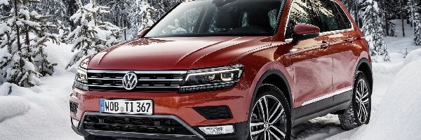 Zima, 2017, Volkswagen Tiguan